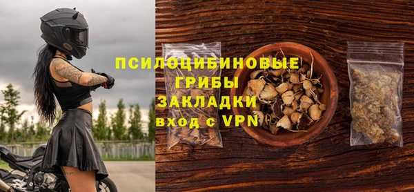 PSILOCYBIN Богородицк