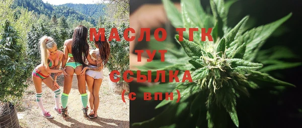 дживик Дедовск