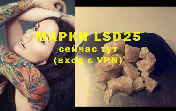 PSILOCYBIN Богородицк