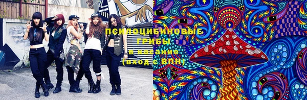 PSILOCYBIN Богородицк