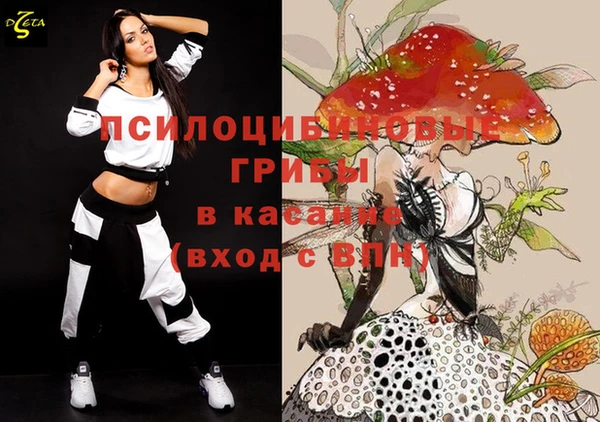 PSILOCYBIN Богородицк