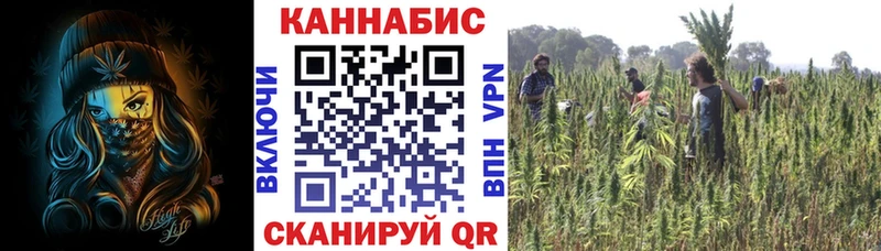 купить закладку Павловск Бошки Шишки AK-47